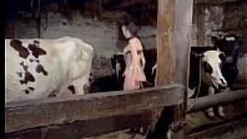 ดูหนังxxxแนวคนเย็ดกับสัตว์ PornDig สาวน้อยชอบเลี้ยงวัวดันเกิดอารมณ์เงี่ยนกับวัวตัวผู้ที่พึ่งได้มาใหม่ เห็นหน้าตามันหล่อเหมือนคนดีเลยแหกหีจับเอาควยเสียบรูหีเองแม่ง เสียวจนน้ำหีไหลเยิ้ม
